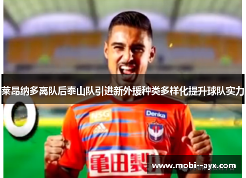 莱昂纳多离队后泰山队引进新外援种类多样化提升球队实力 莱昂纳多离队后泰山队引进新外援种类多样化提升球队实力
