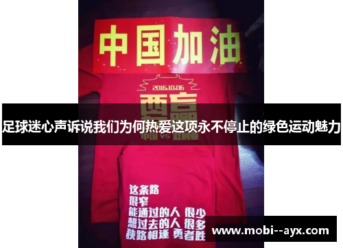 足球迷心声诉说我们为何热爱这项永不停止的绿色运动魅力 足球迷心声诉说我们为何热爱这项永不停止的绿色运动魅力