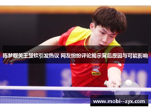 陈梦取关王楚钦引发热议 网友纷纷评论揭示背后原因与可能影响