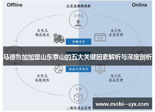 马德鲁加加盟山东泰山的五大关键因素解析与深度剖析