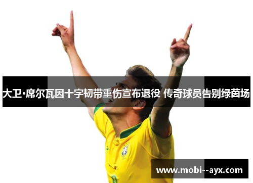 大卫·席尔瓦因十字韧带重伤宣布退役 传奇球员告别绿茵场