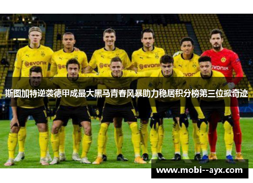 斯图加特逆袭德甲成最大黑马青春风暴助力稳居积分榜第三位掀奇迹
