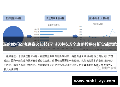 深度解析欧协联赛必知技巧与投注技巧全攻略数据分析实战思路