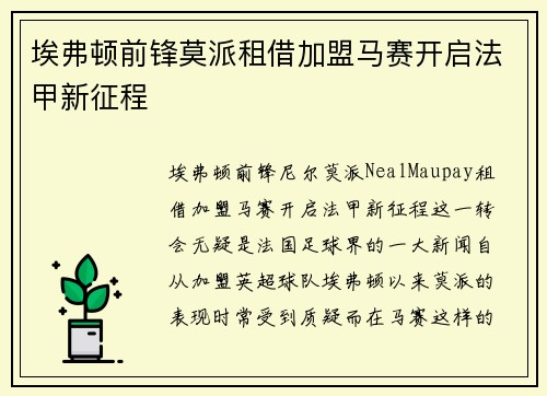 埃弗顿前锋莫派租借加盟马赛开启法甲新征程 埃弗顿前锋莫派租借加盟马赛开启法甲新征程